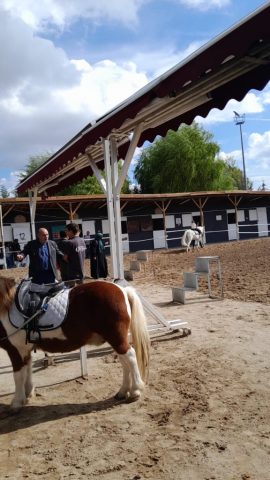 .trashed-1763999943-IMG-20251025-WA0001